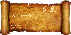 Sali Ernő névjegykártya