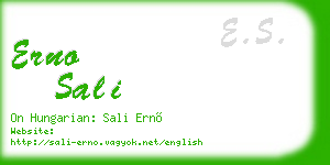 erno sali business card
